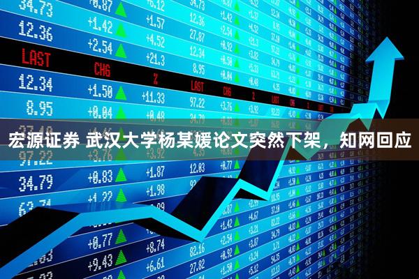 宏源证券 武汉大学杨某媛论文突然下架，知网回应