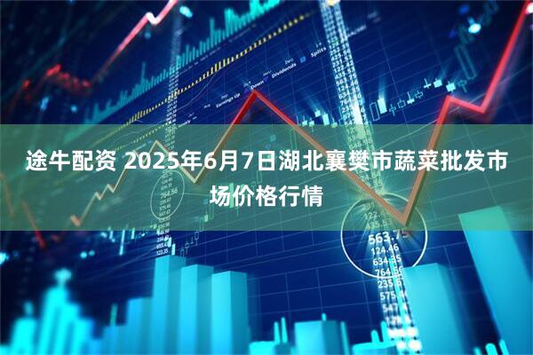 途牛配资 2025年6月7日湖北襄樊市蔬菜批发市场价格行情