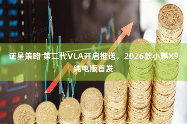 证星策略 第二代VLA开启推送，2026款小鹏X9纯电版首发
